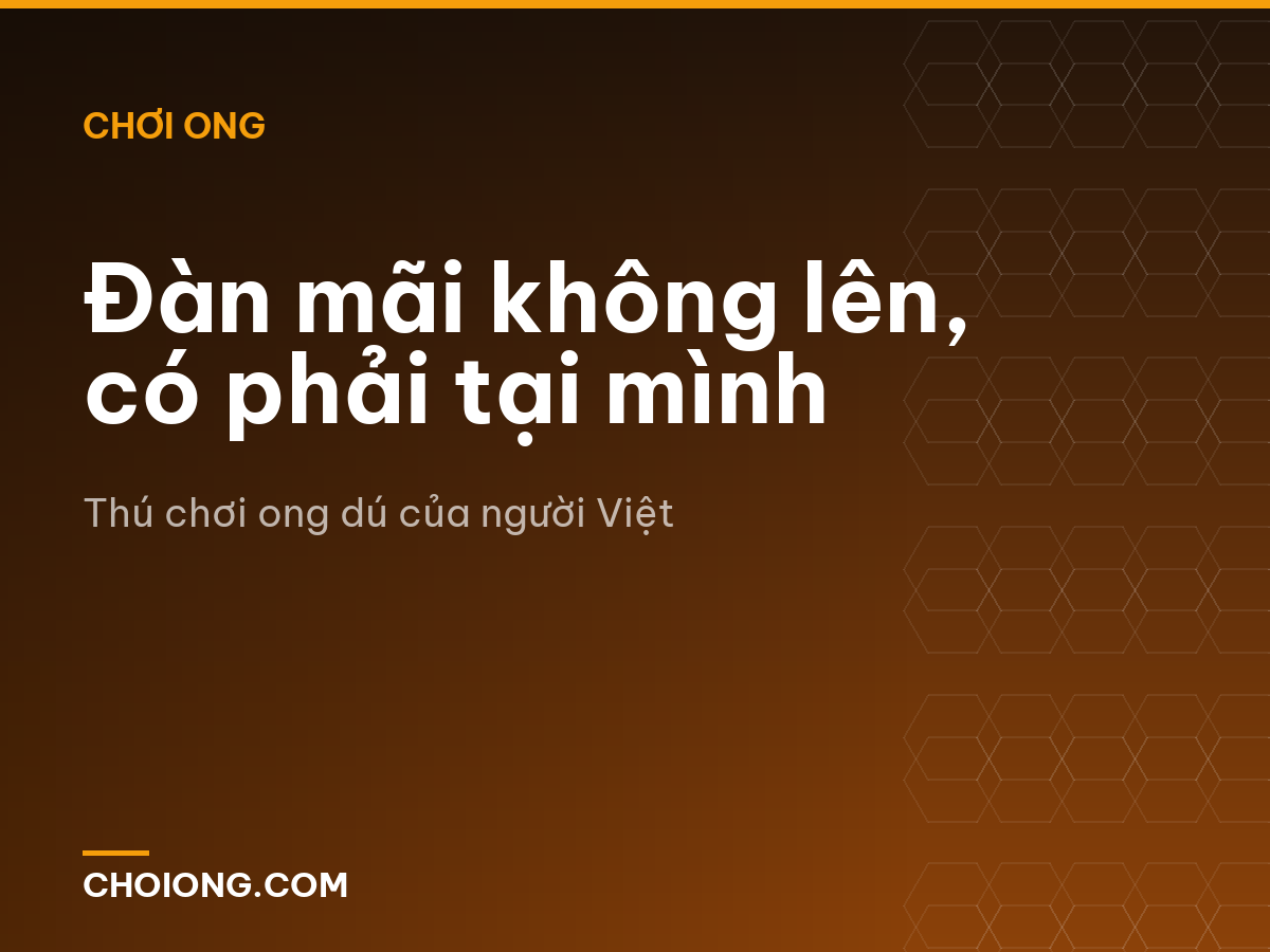 Đàn mãi không lên, có phải tại mình