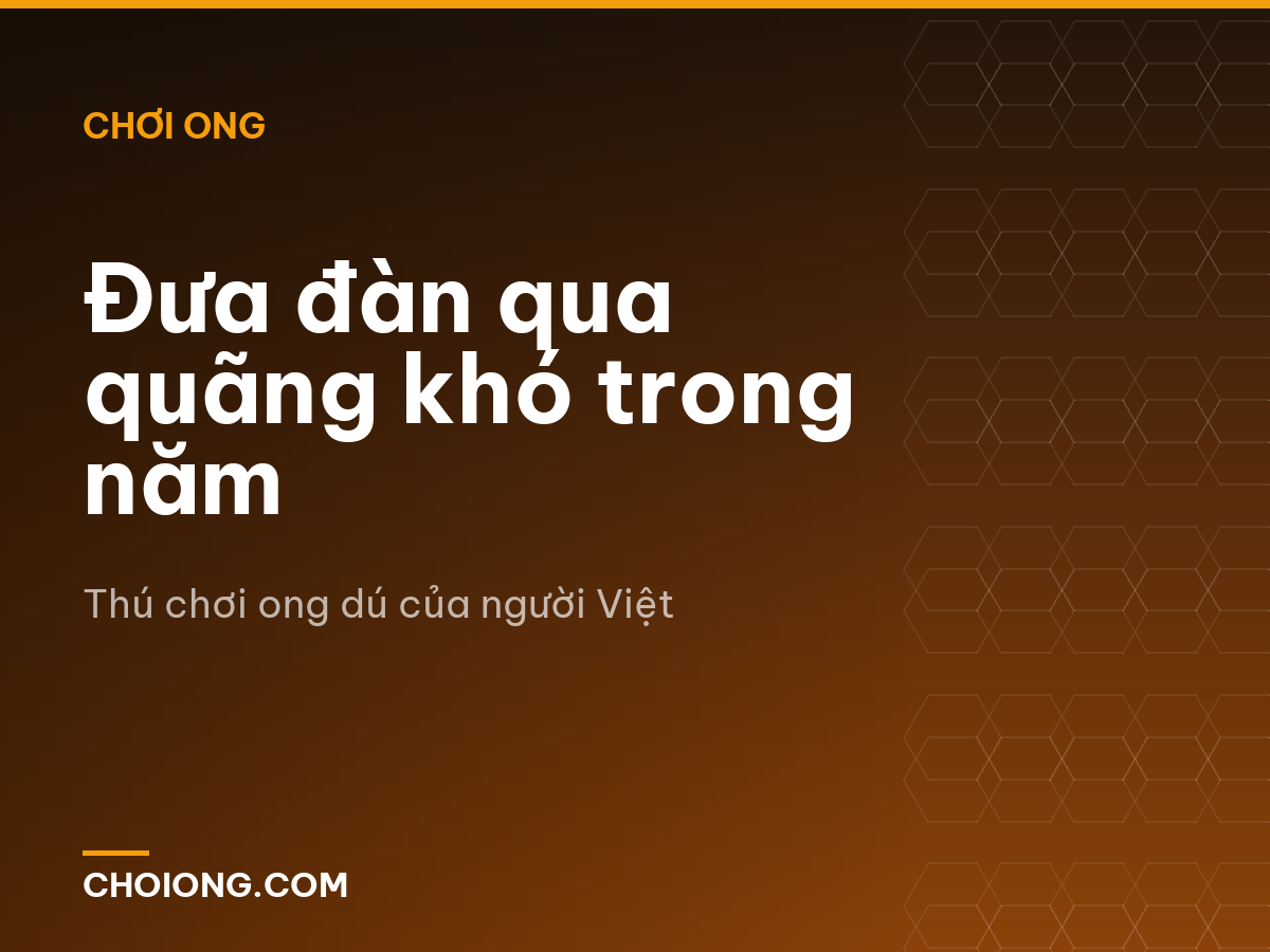 Đưa đàn qua quãng khó trong năm
