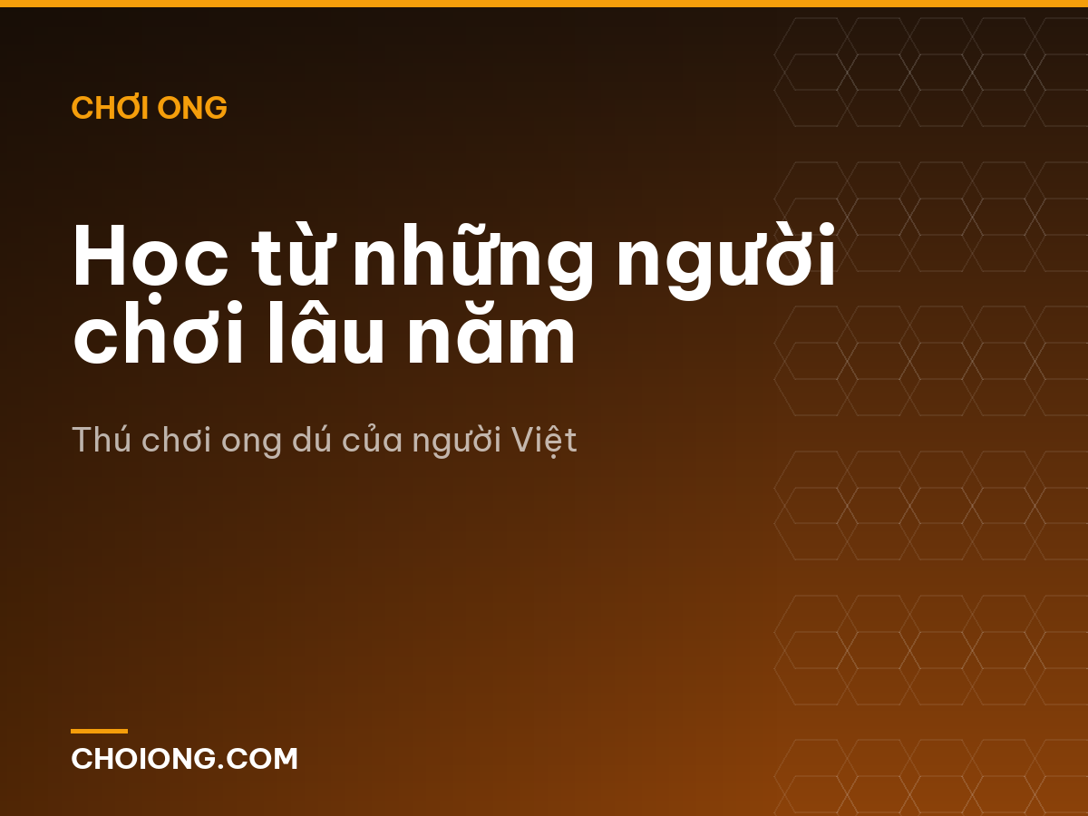 Học từ những người chơi lâu năm