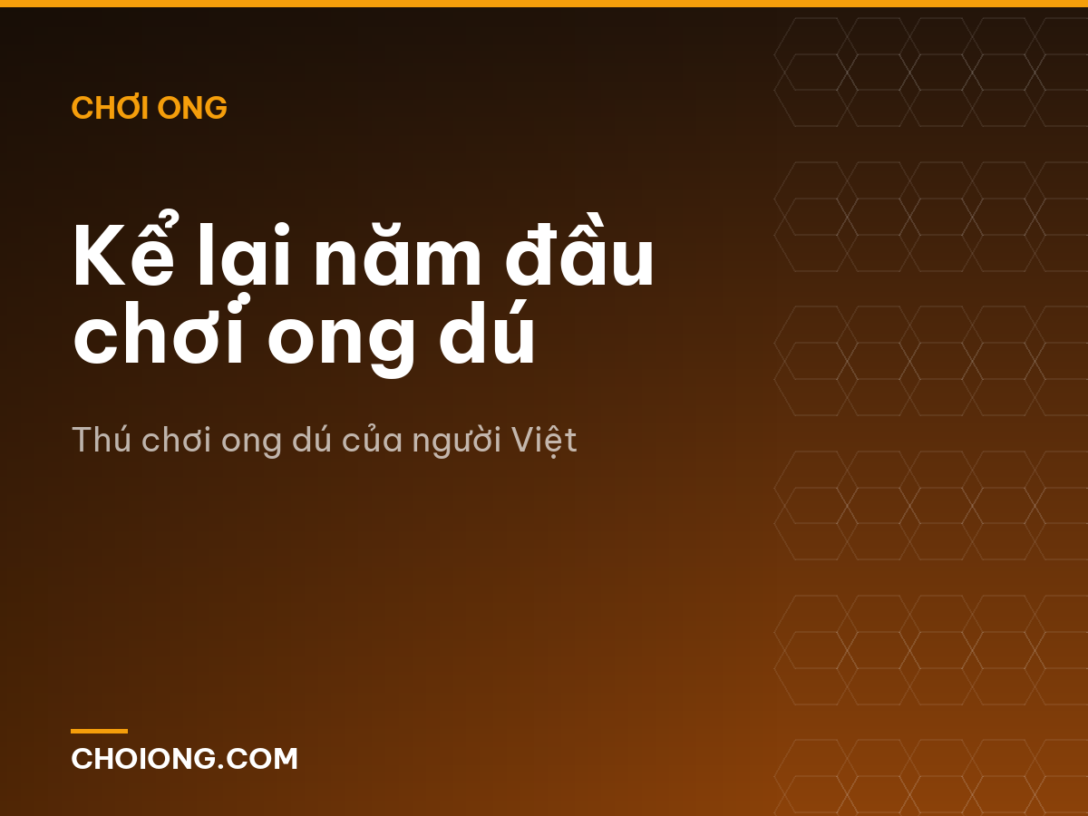 Kể lại năm đầu chơi ong dú