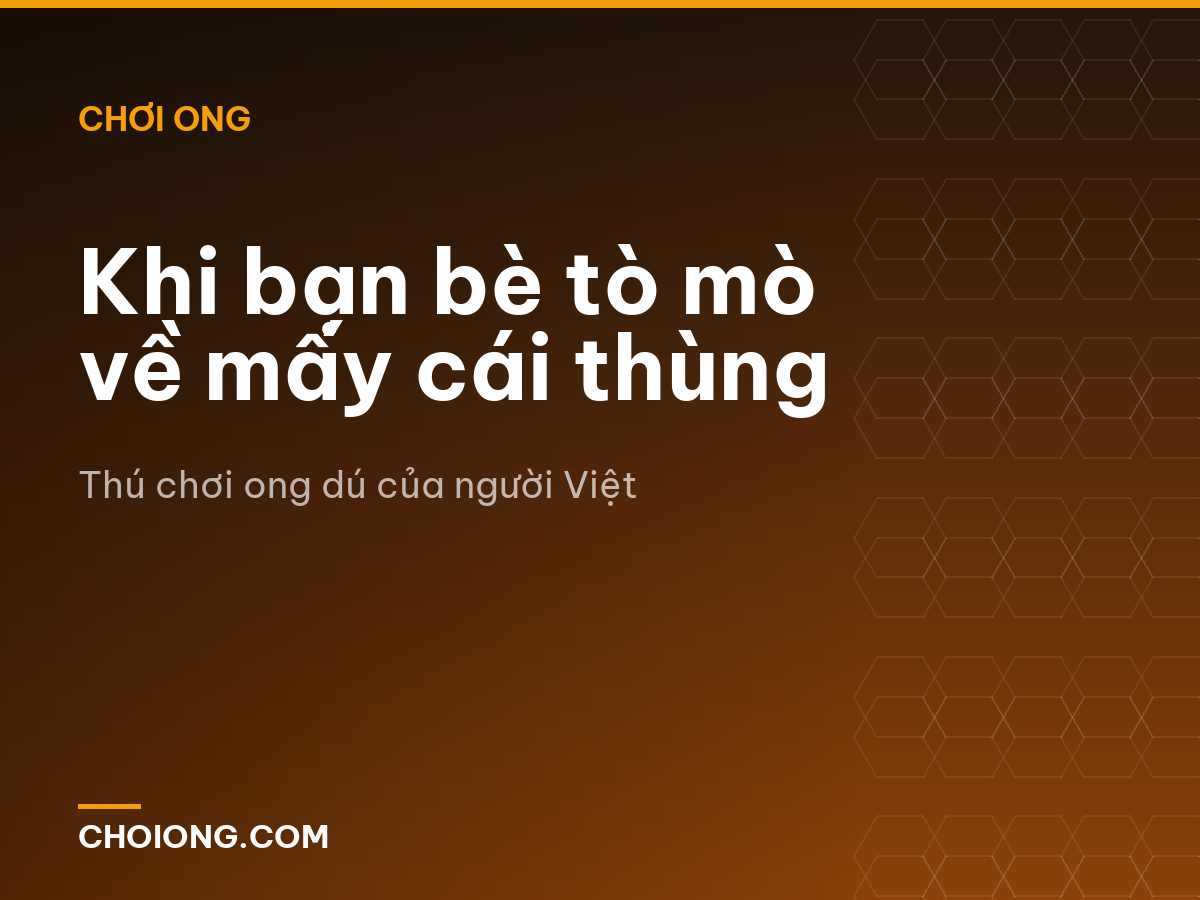 Khi bạn bè tò mò về mấy cái thùng