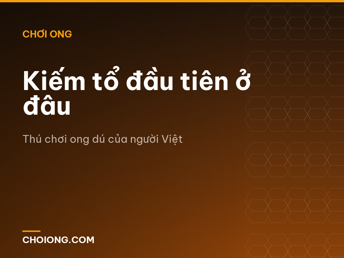 Kiếm tổ đầu tiên ở đâu