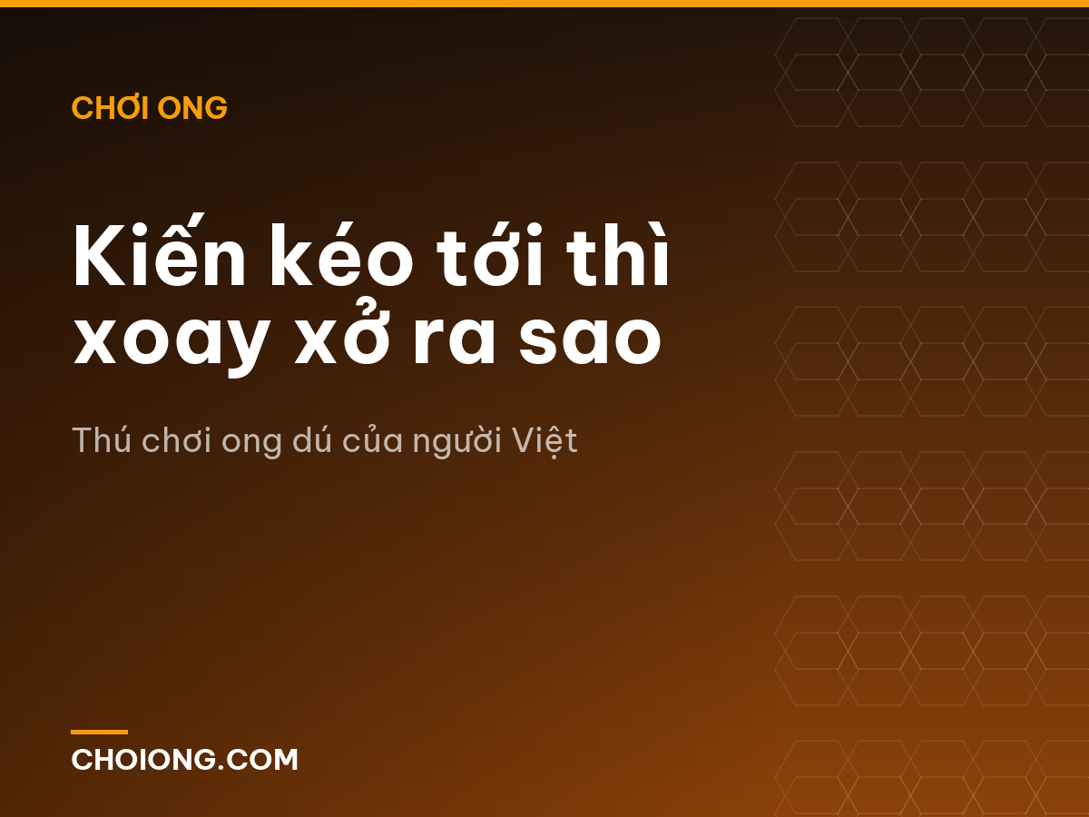 Kiến kéo tới thì xoay xở ra sao