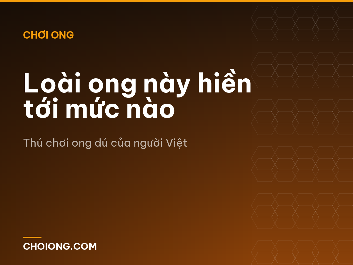 Loài ong này hiền tới mức nào