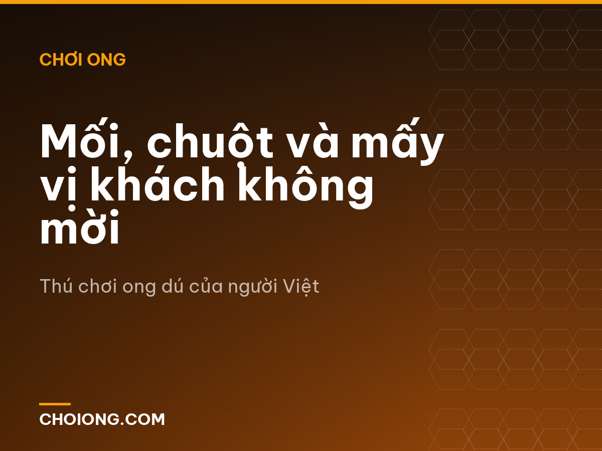 Mối, chuột và mấy vị khách không mời