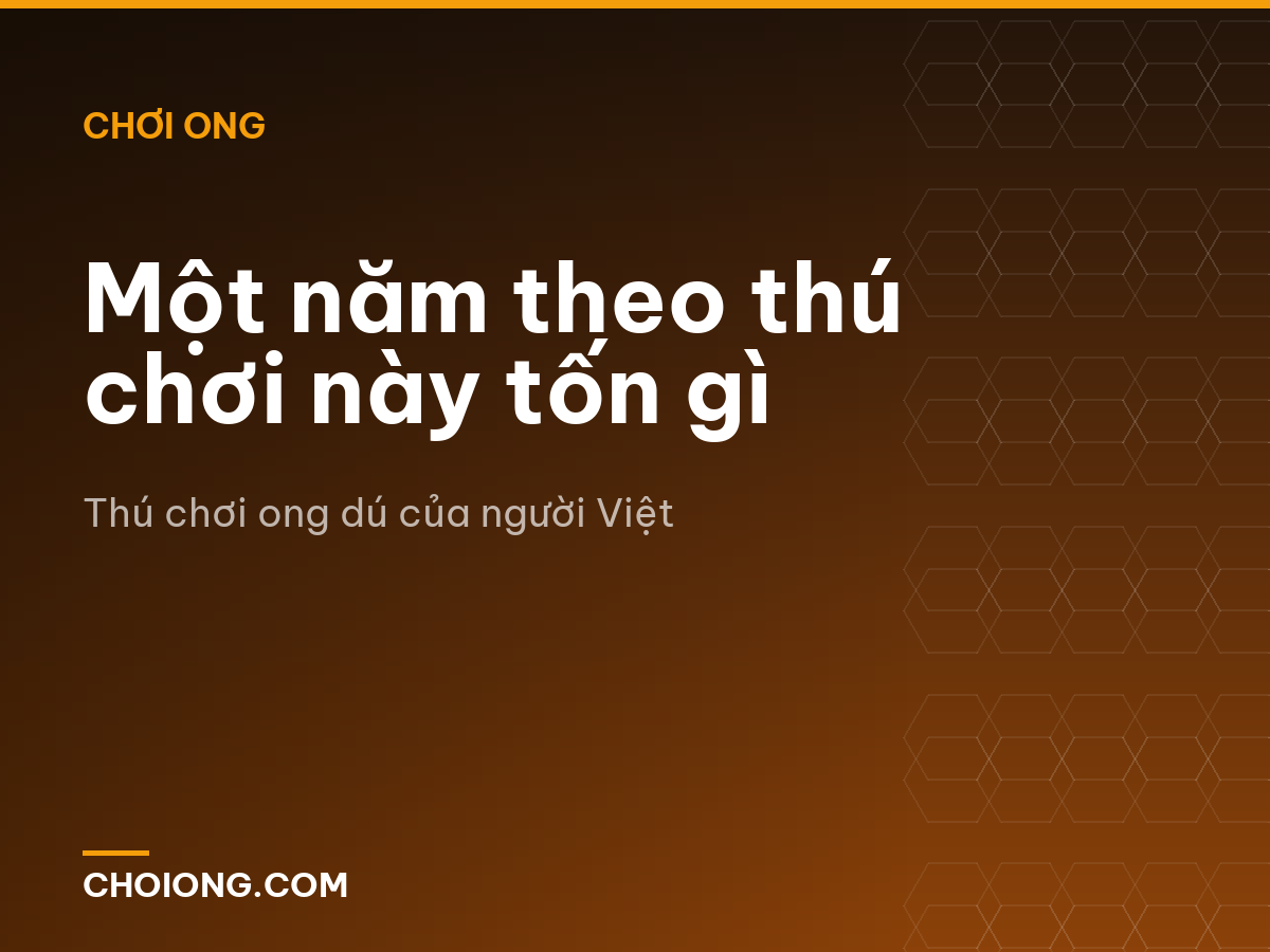 Một năm theo thú chơi này tốn gì