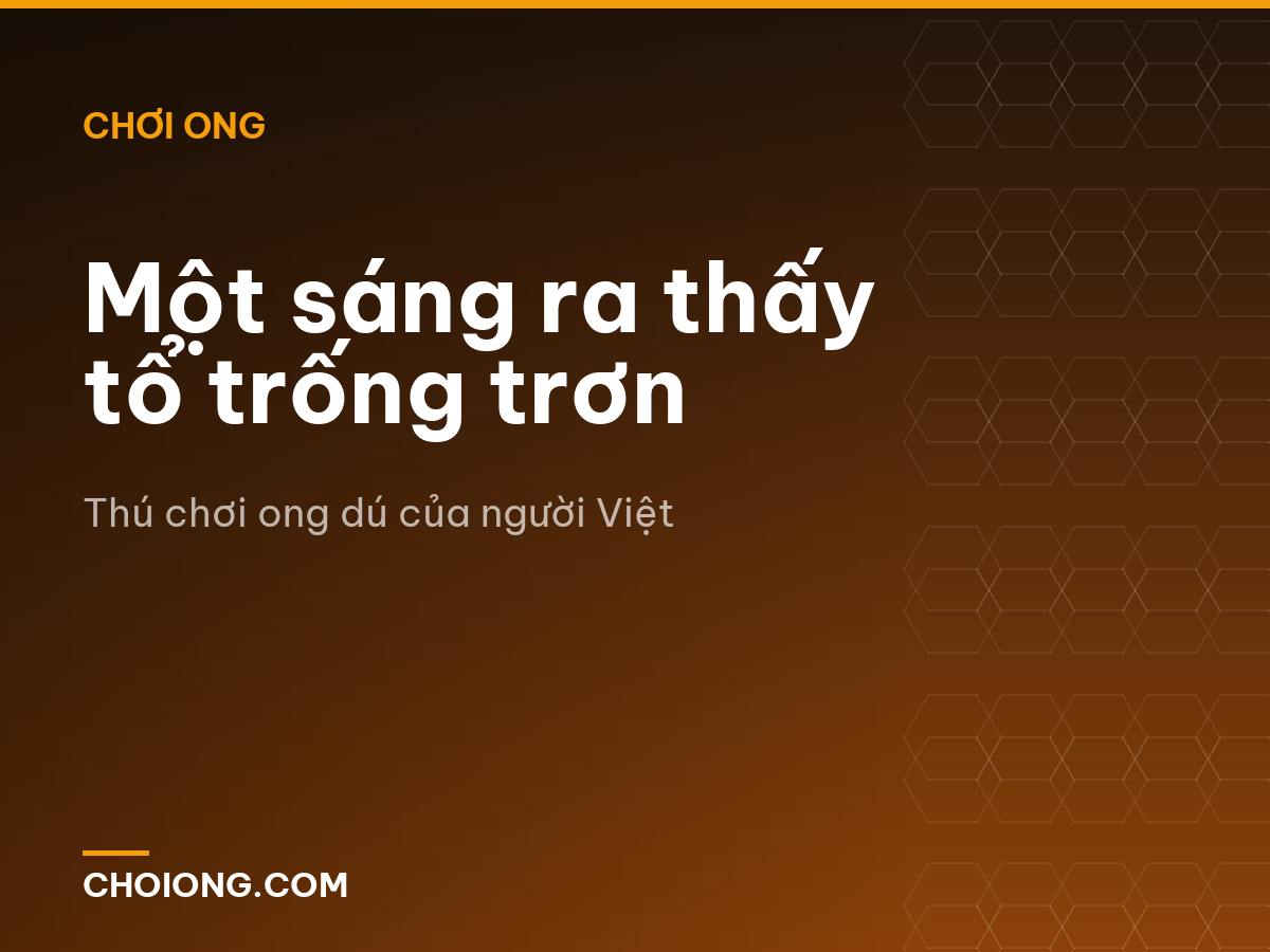 Một sáng ra thấy tổ trống trơn