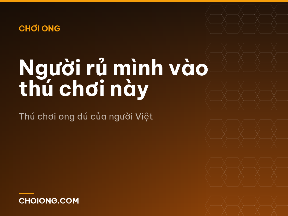 Người rủ mình vào thú chơi này