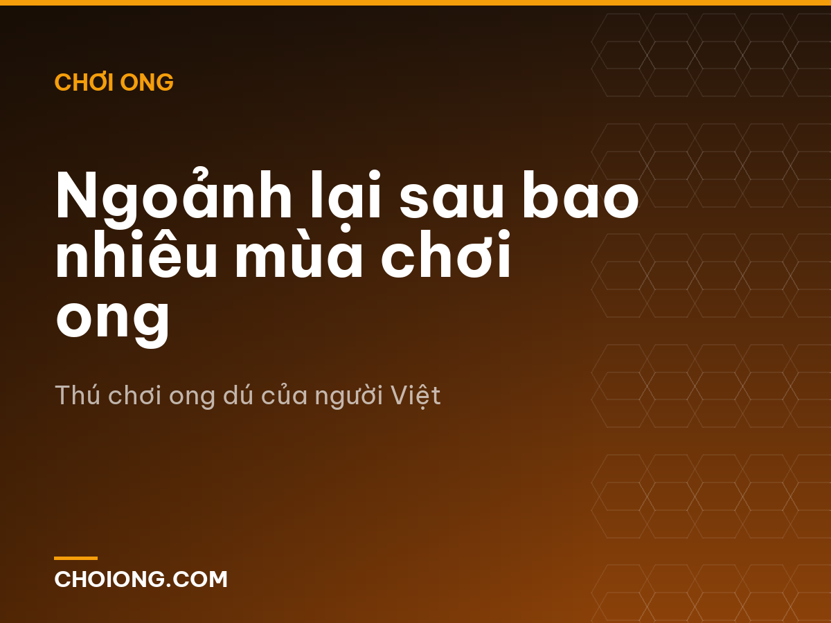 Ngoảnh lại sau bao nhiêu mùa chơi ong