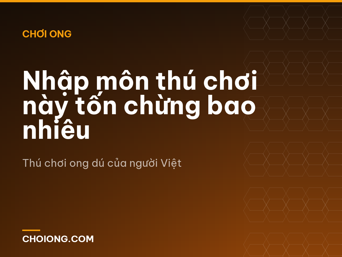 Nhập môn thú chơi này tốn chừng bao nhiêu