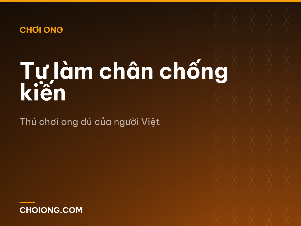 Tự làm chân chống kiến