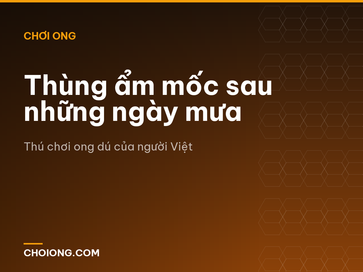 Thùng ẩm mốc sau những ngày mưa