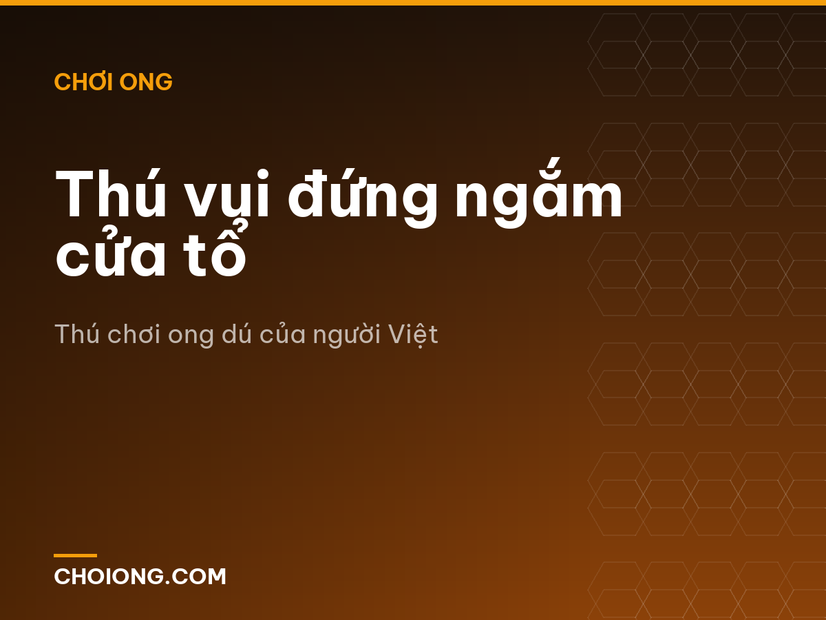 Thú vui đứng ngắm cửa tổ