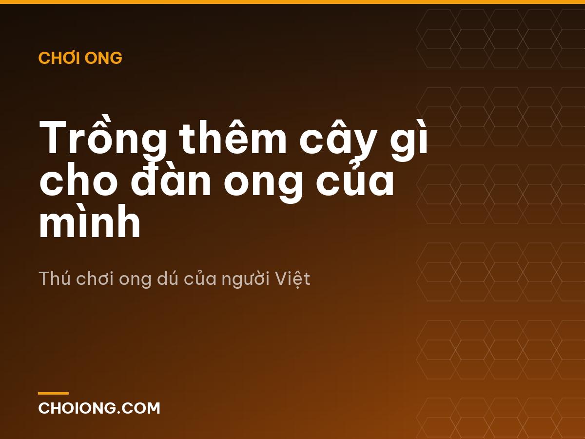 Trồng thêm cây gì cho đàn ong của mình