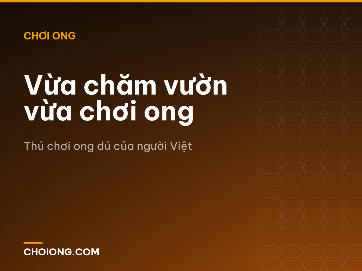 Vừa chăm vườn vừa chơi ong